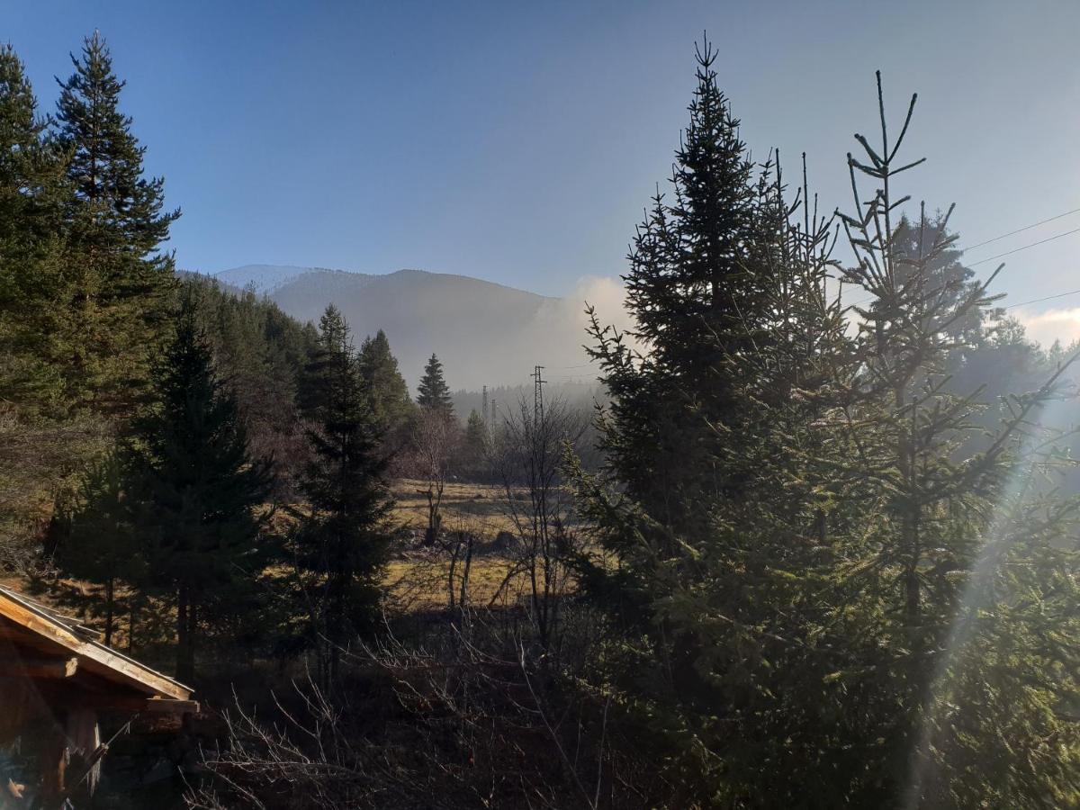 Vila Kosherinata Bansko Exterior foto